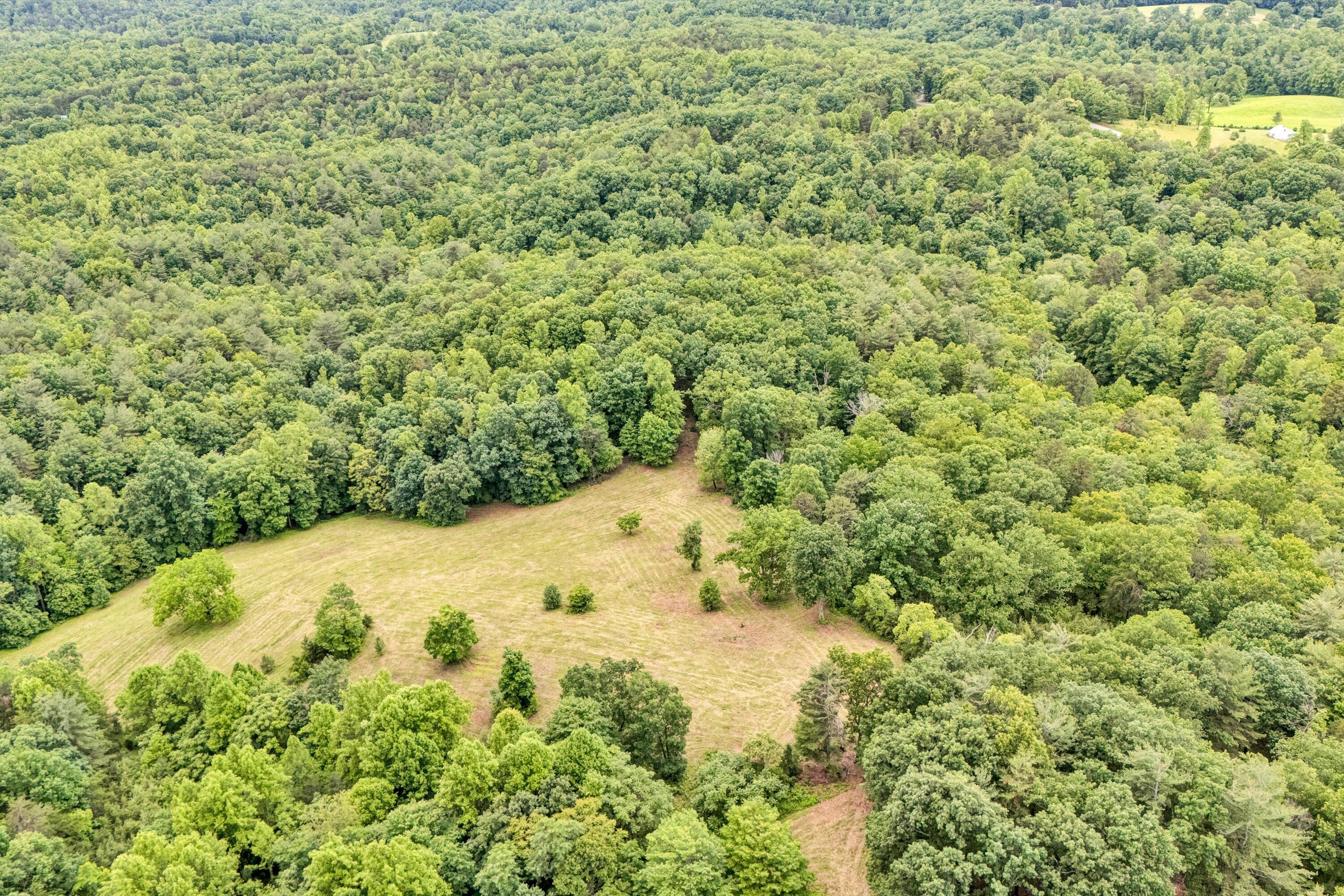 2745 Old Quarry Road Bassett, VA 24055 - Photo 35 of 66 07-DJI_20250528143742_0605