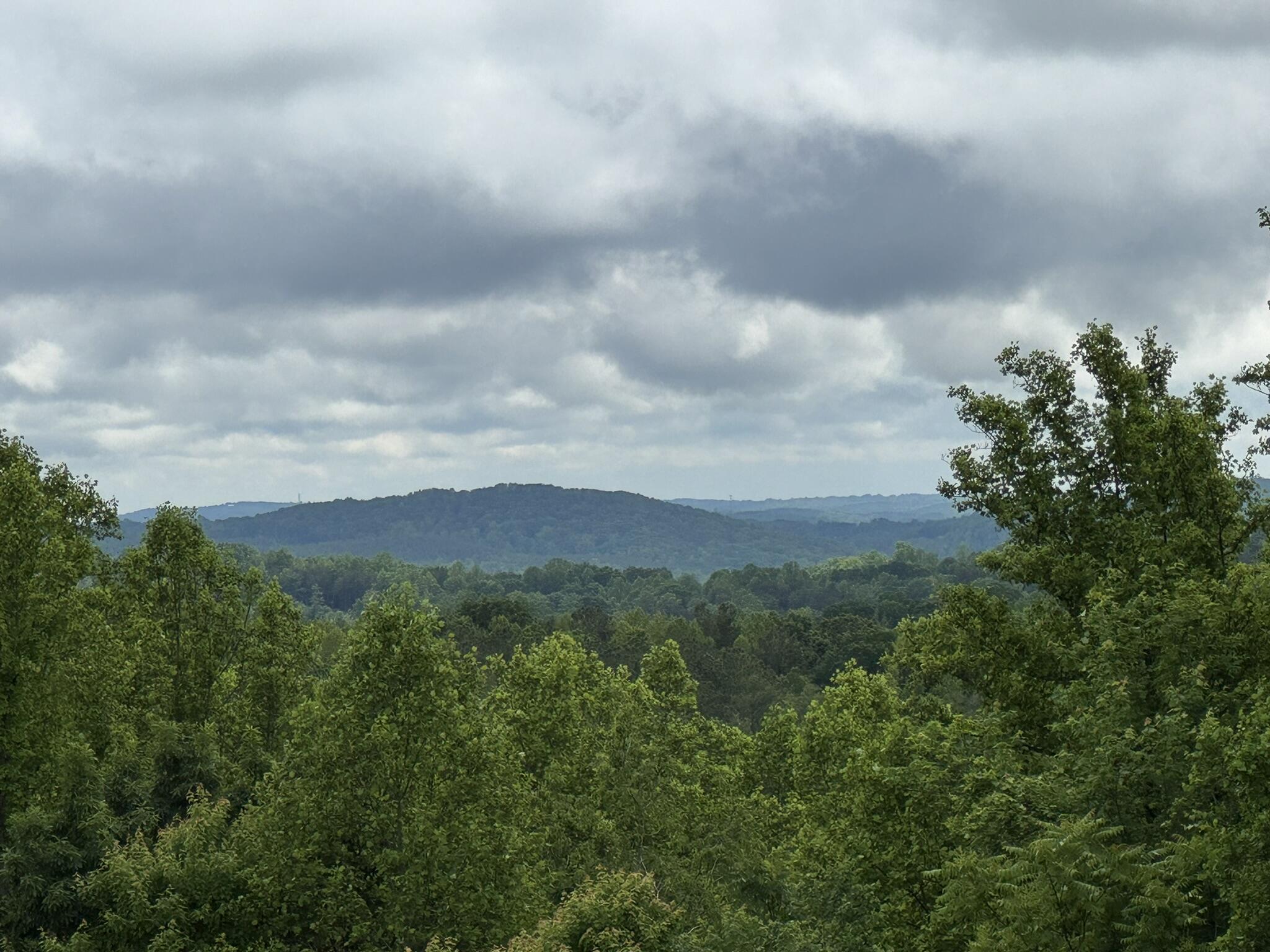 2745 Old Quarry Road Bassett, VA 24055 - Photo 41 of 66 IMG_6287