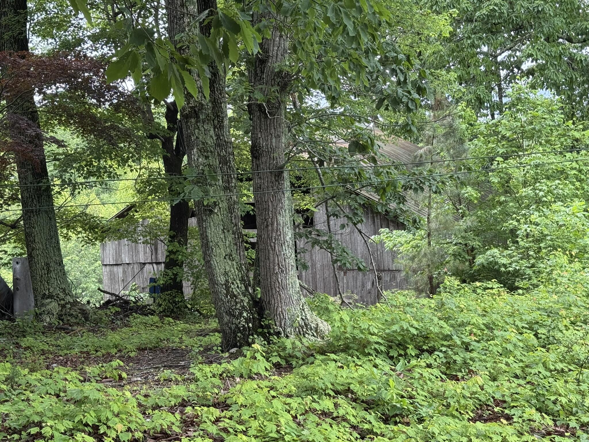2745 Old Quarry Road Bassett, VA 24055 - Photo 43 of 66 IMG_6272