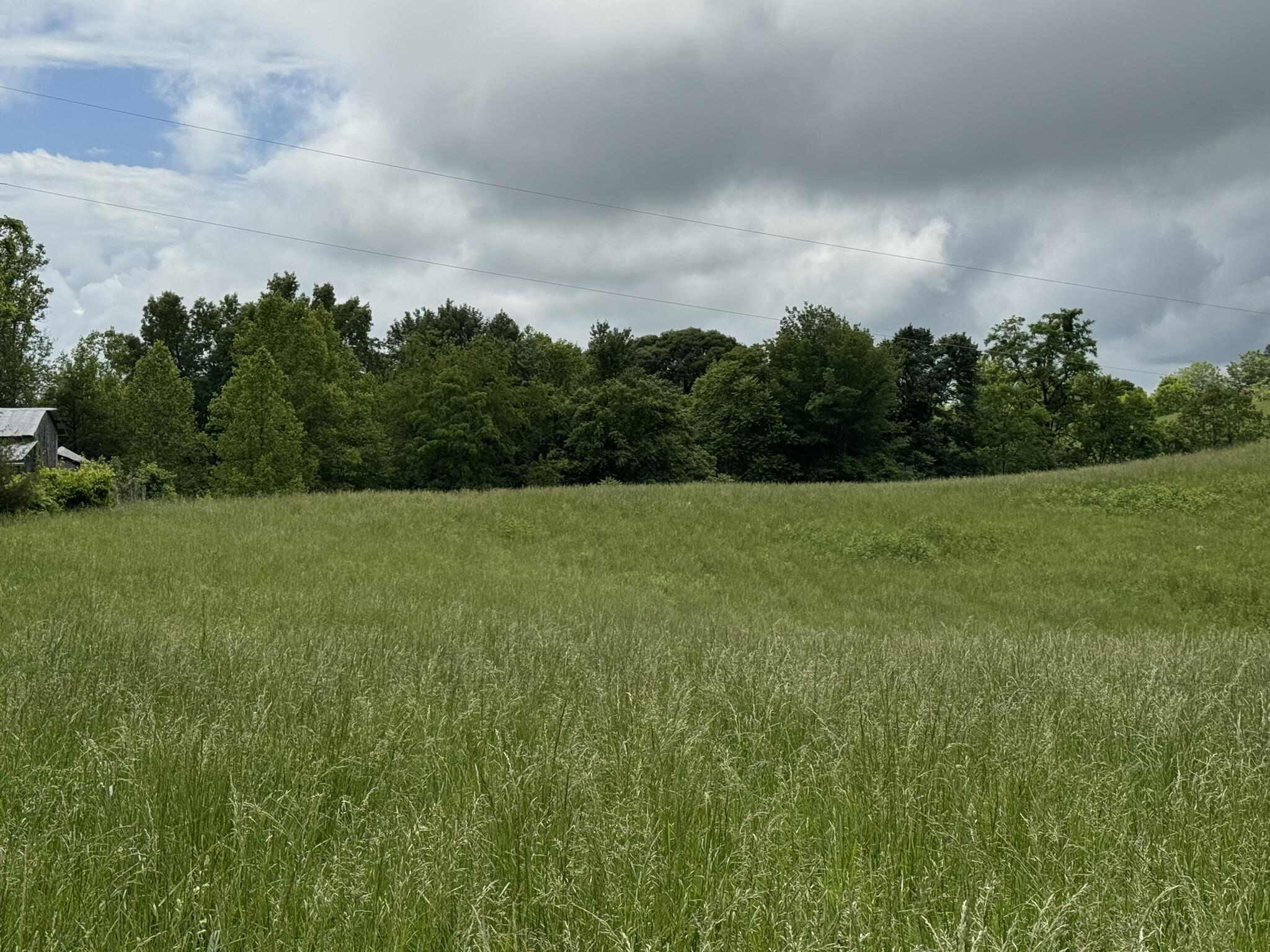 2745 Old Quarry Road Bassett, VA 24055 - Photo 46 of 66 IMG_6275