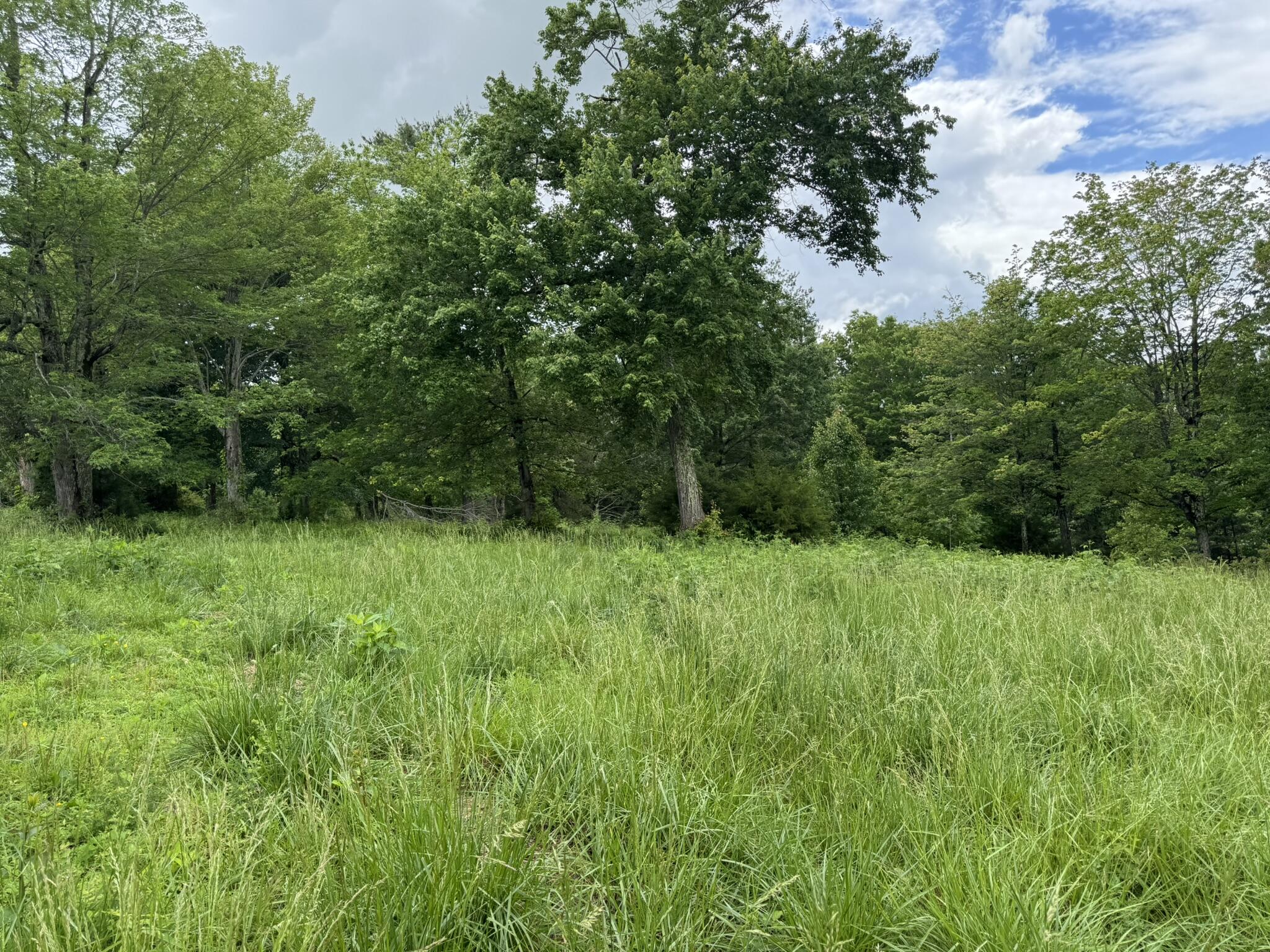 2745 Old Quarry Road Bassett, VA 24055 - Photo 50 of 66 IMG_6281