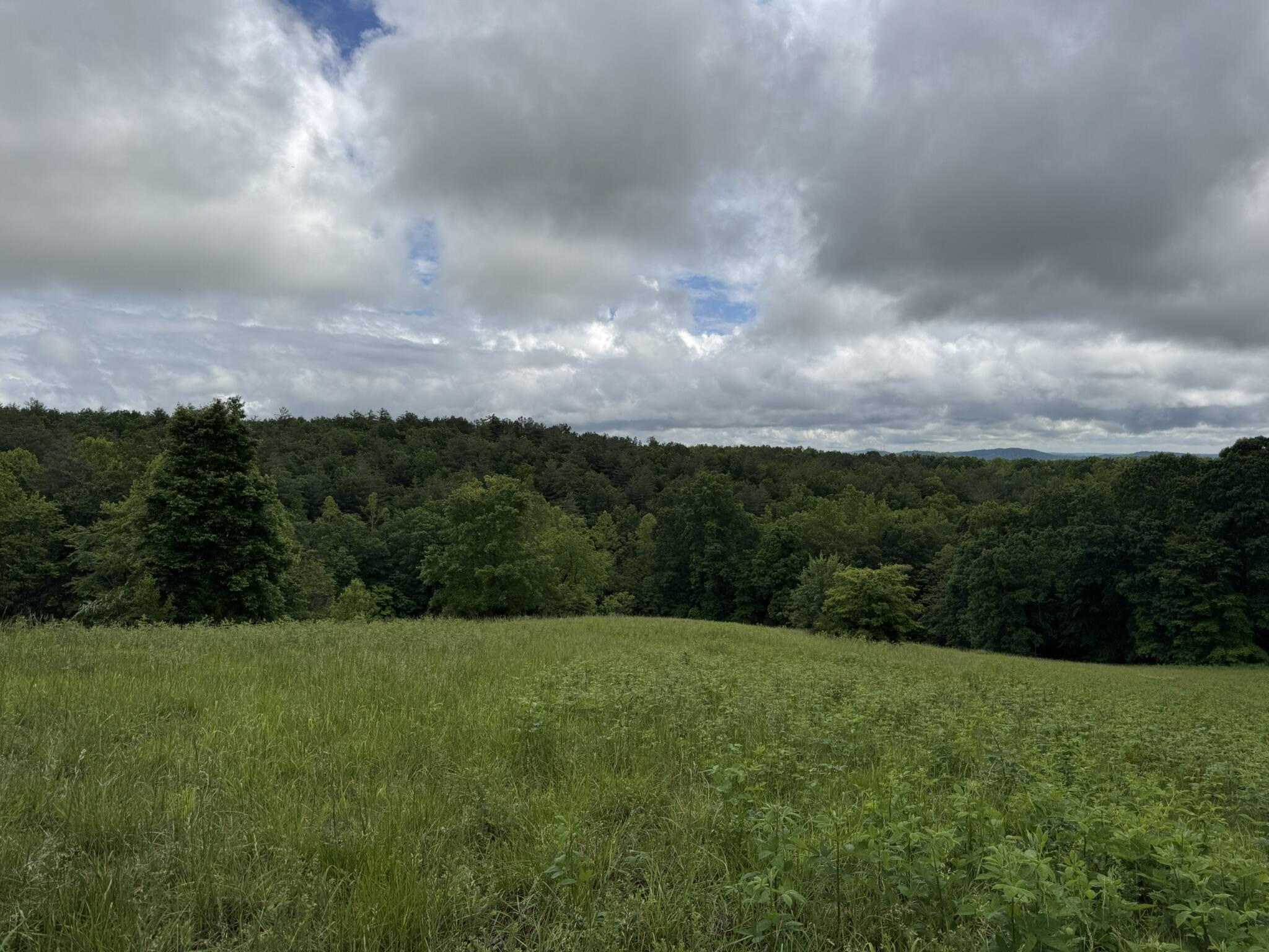 2745 Old Quarry Road Bassett, VA 24055 - Photo 52 of 66 IMG_6284