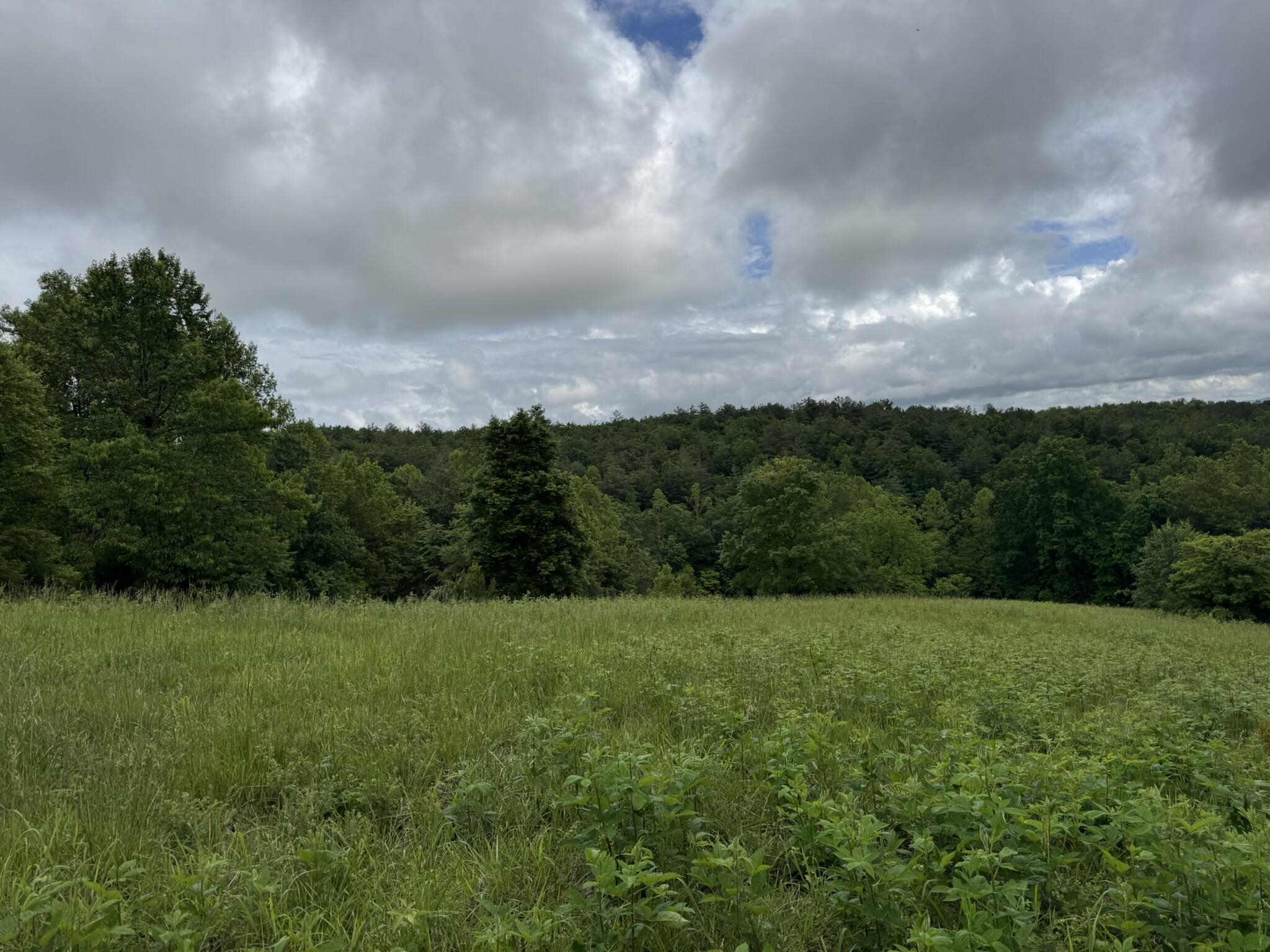 2745 Old Quarry Road Bassett, VA 24055 - Photo 54 of 66 IMG_6286