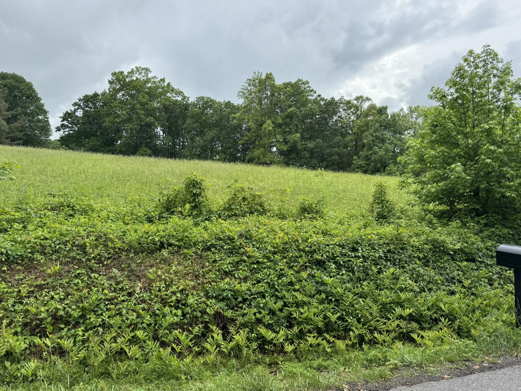 2745 Old Quarry Road Bassett, VA 24055 - Photo 63 of 66 IMG_6296
