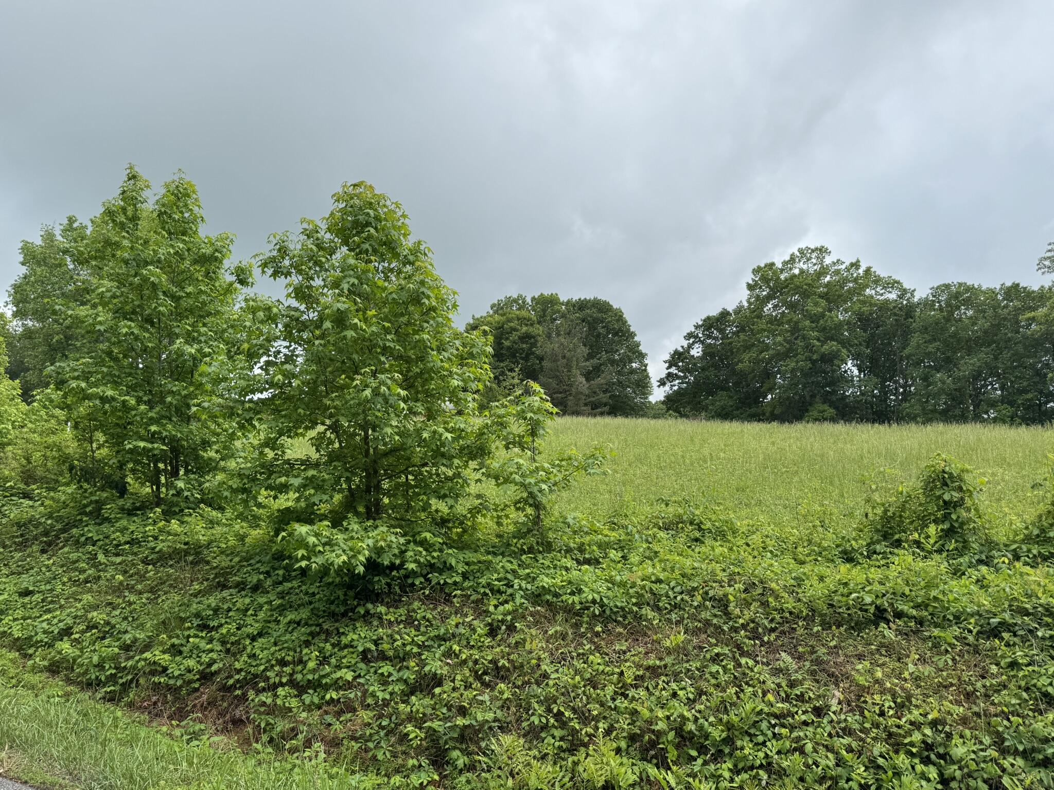 2745 Old Quarry Road Bassett, VA 24055 - Photo 64 of 66 IMG_6297