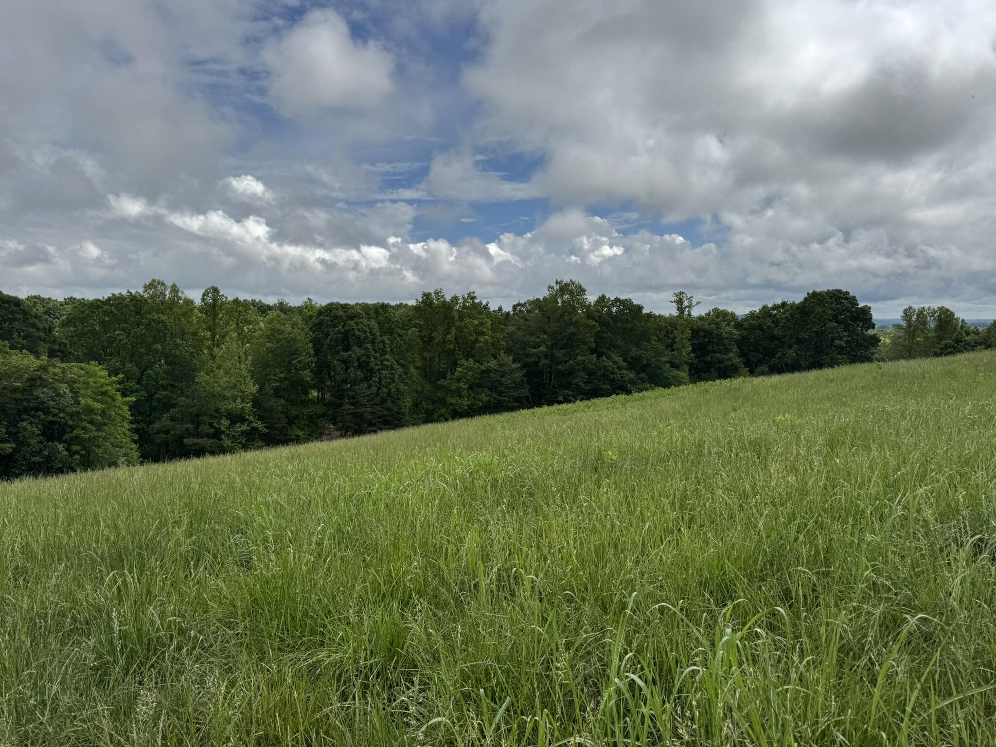 2745 Old Quarry Road Bassett, VA 24055 - Photo 65 of 66 IMG_6280