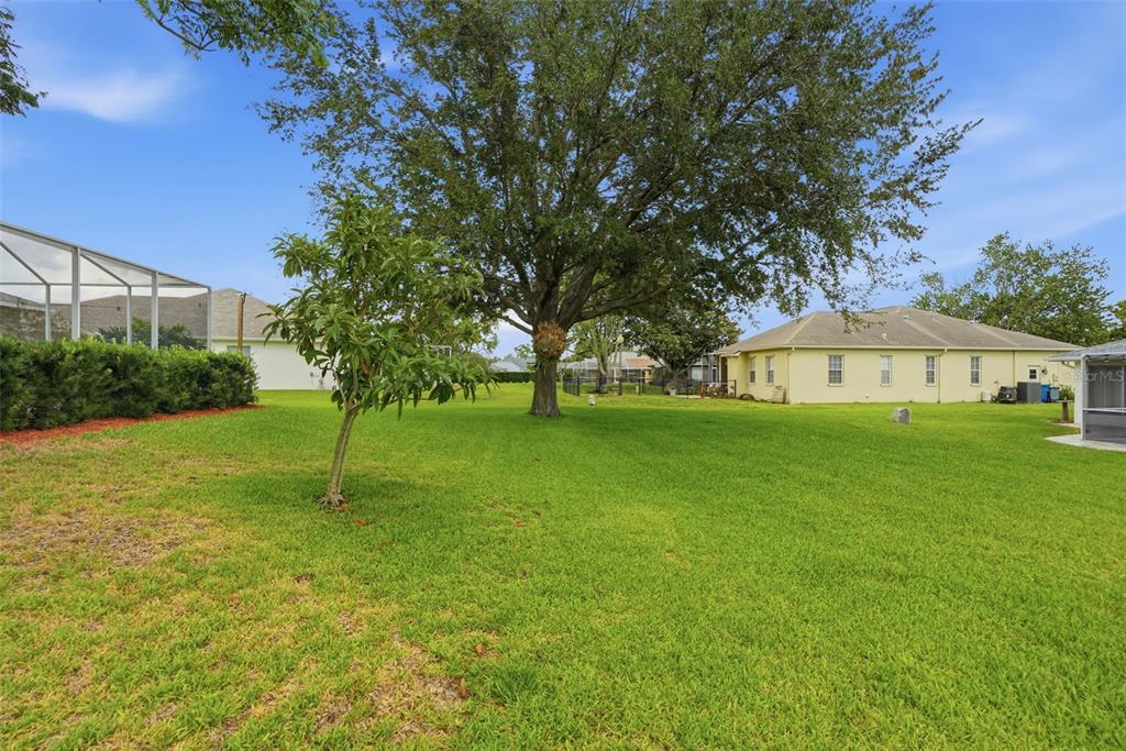 14228 Presteign Lane Spring Hill, FL 34609 - Photo 75 of 89