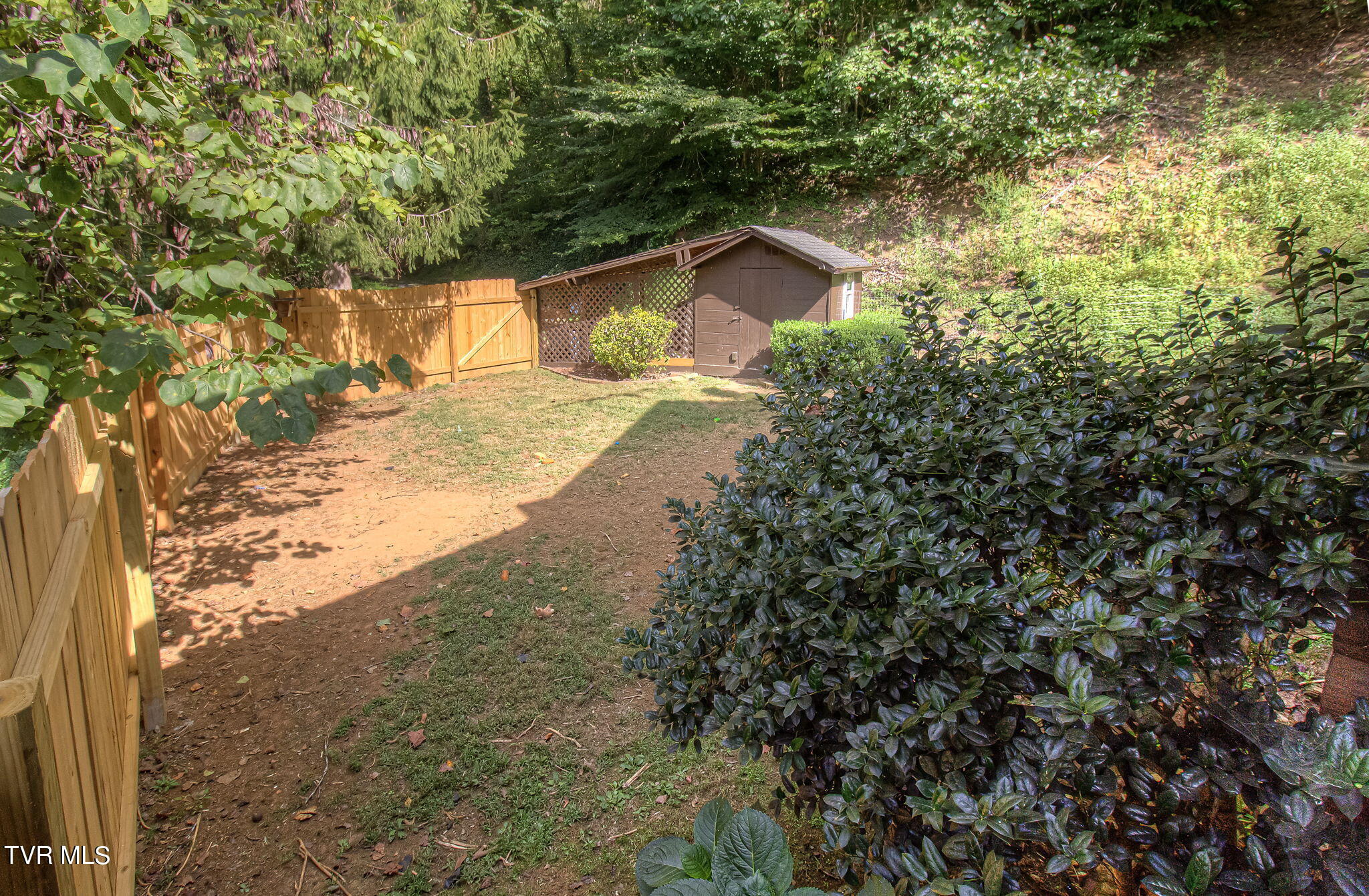 1517 Fawn Road Seymour, TN 37865 - Photo 51 of 54 IMG_5109