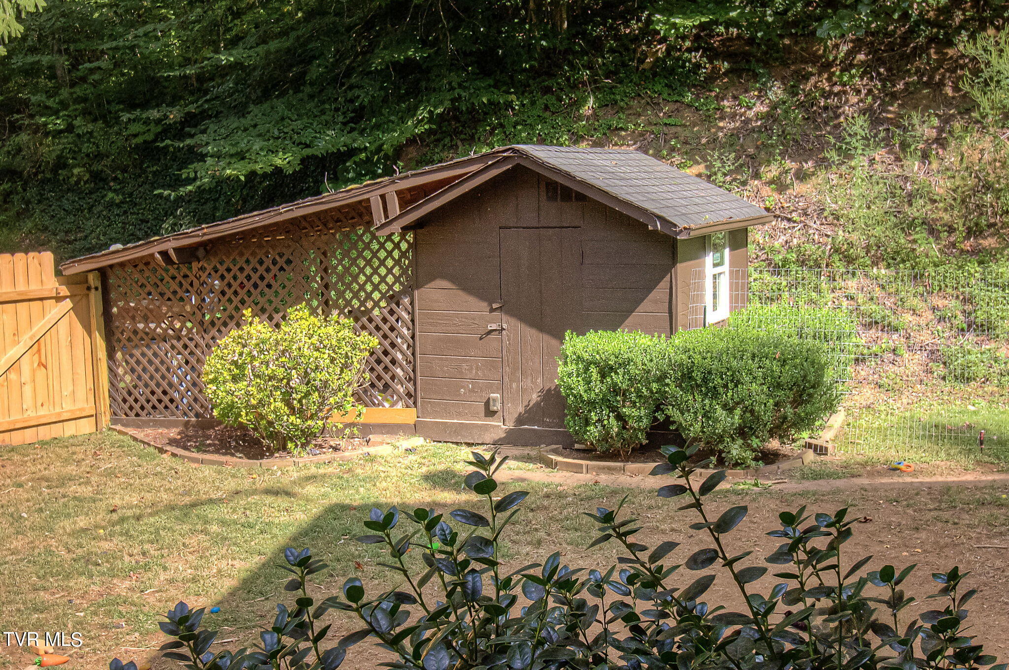 1517 Fawn Road Seymour, TN 37865 - Photo 52 of 54 IMG_5106