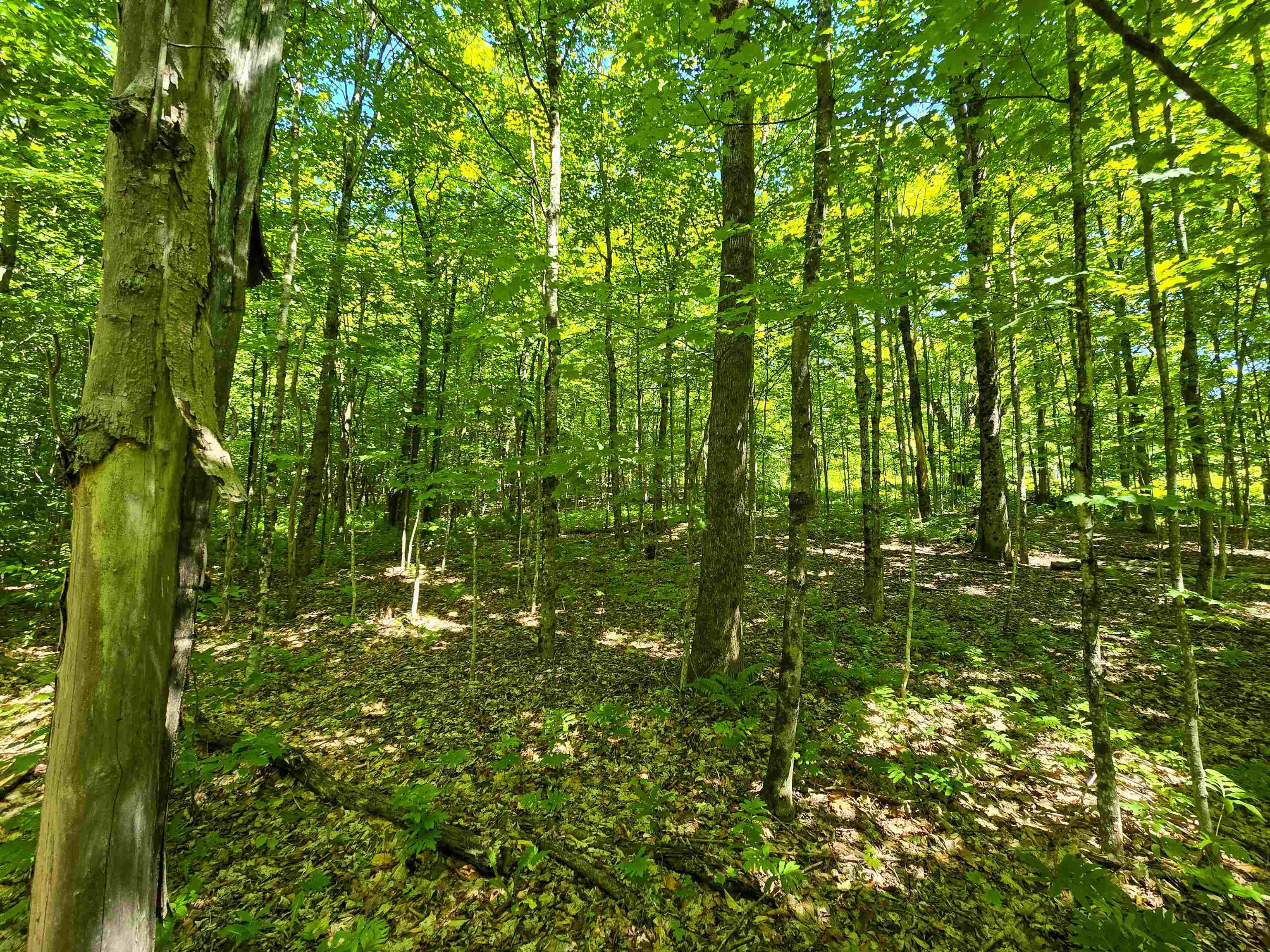 625 French Settlement Road Lincoln, VT 05443 - Photo 14 of 25