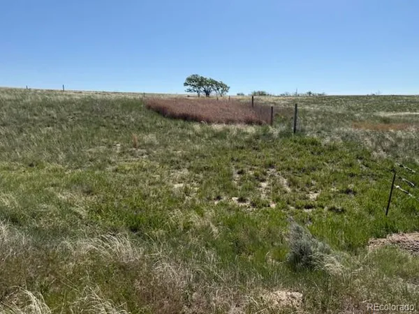 a view of a field with an ocean