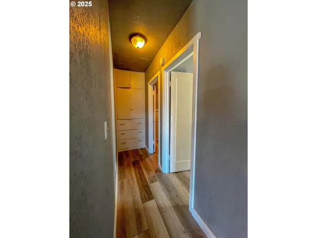 a view of a backyard with potted plants and large trees