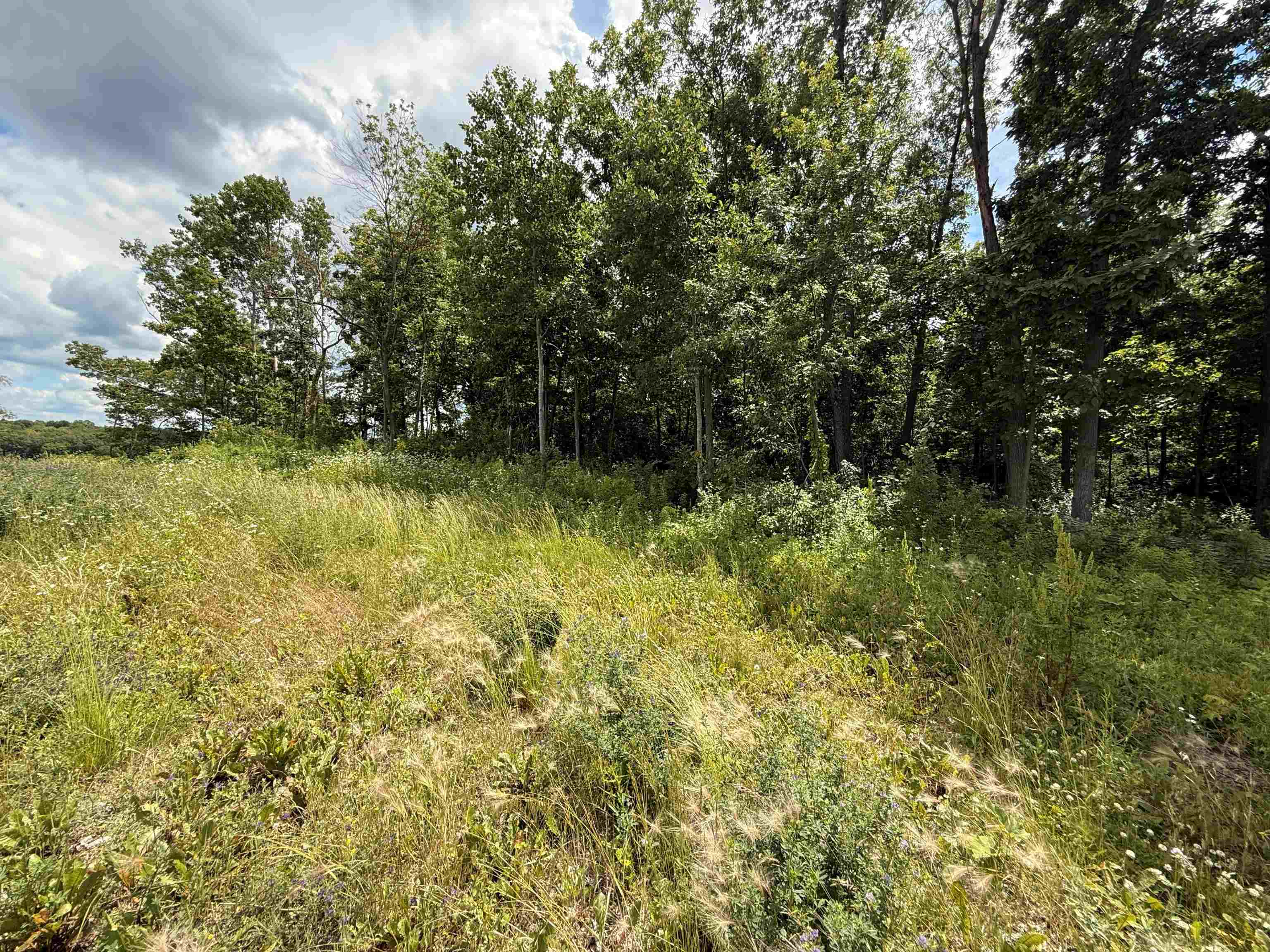 Lot 19 Lakestone Merrimac, WI 53561 - Photo 4 of 42