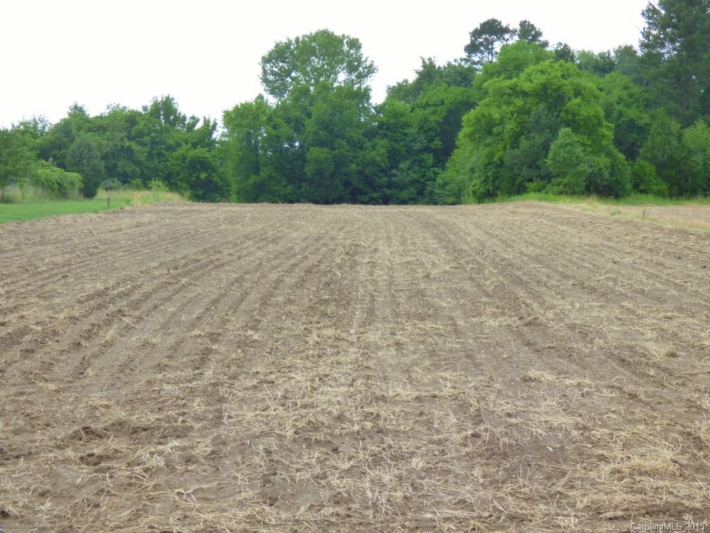 3694 Champion Road Rock Hill, SC 29730 - Photo 3 of 11