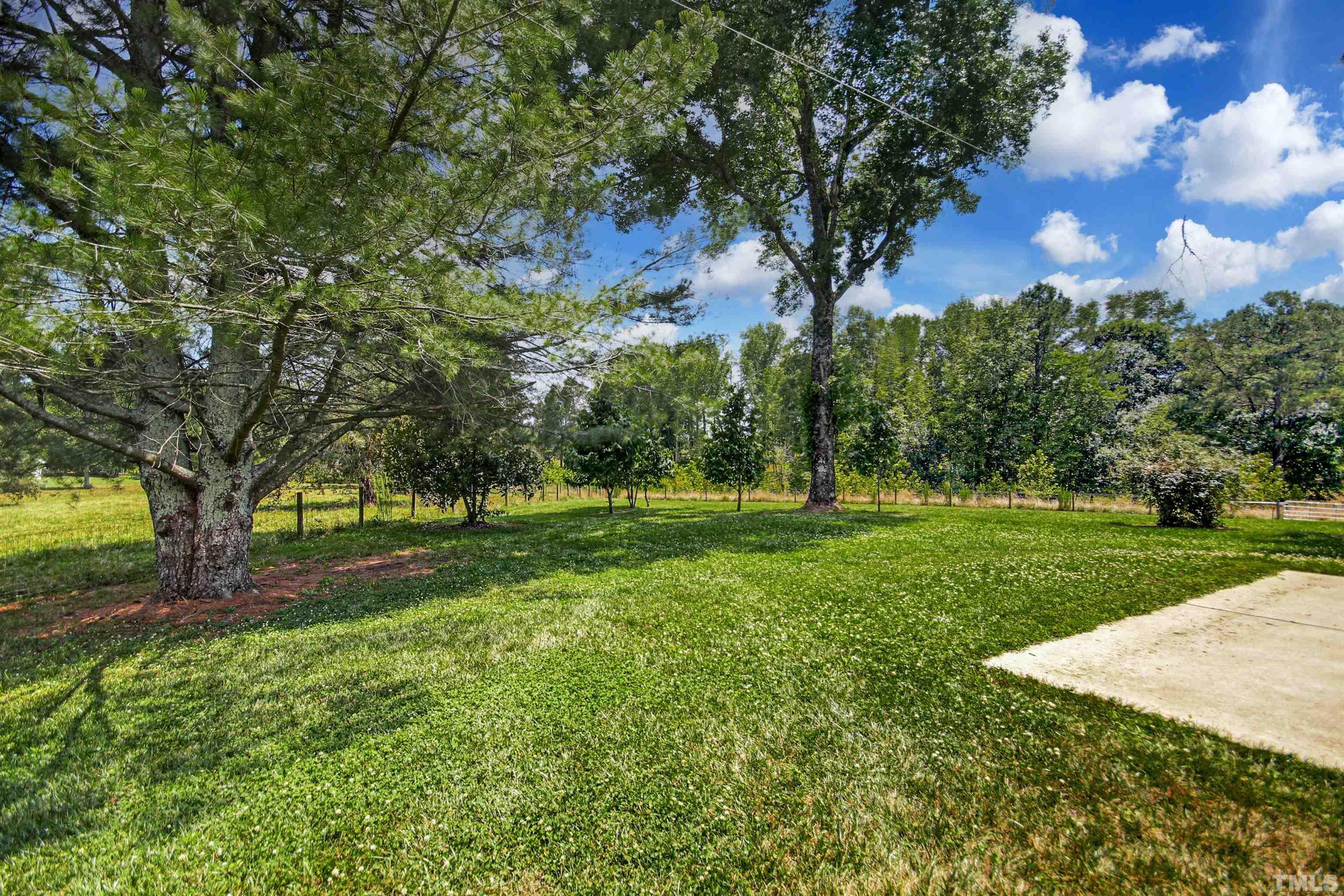 4610 Hall Road Rougemont, NC 27572 - Photo 33 of 43 a view of a park with large trees