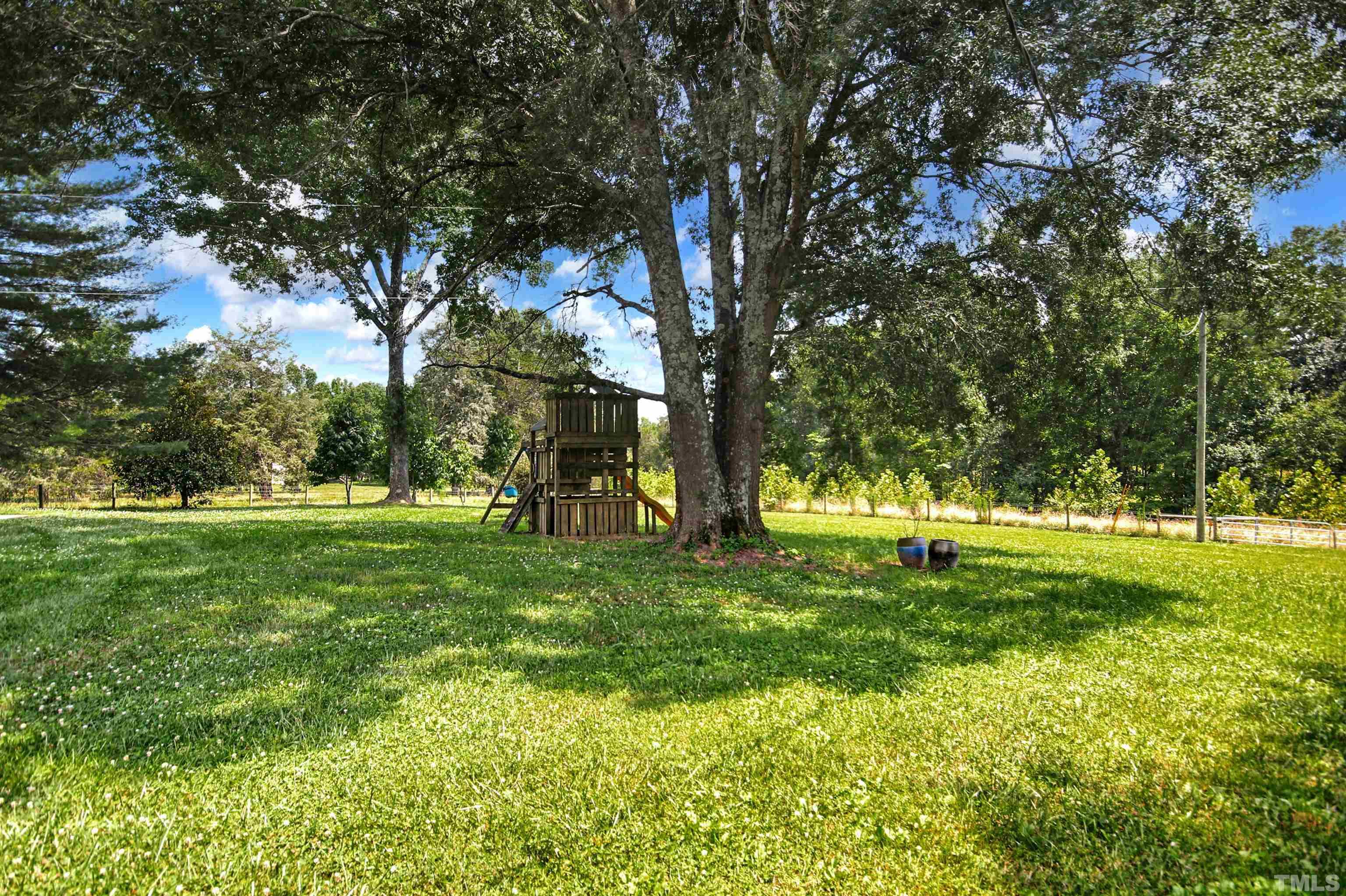 4610 Hall Road Rougemont, NC 27572 - Photo 34 of 43