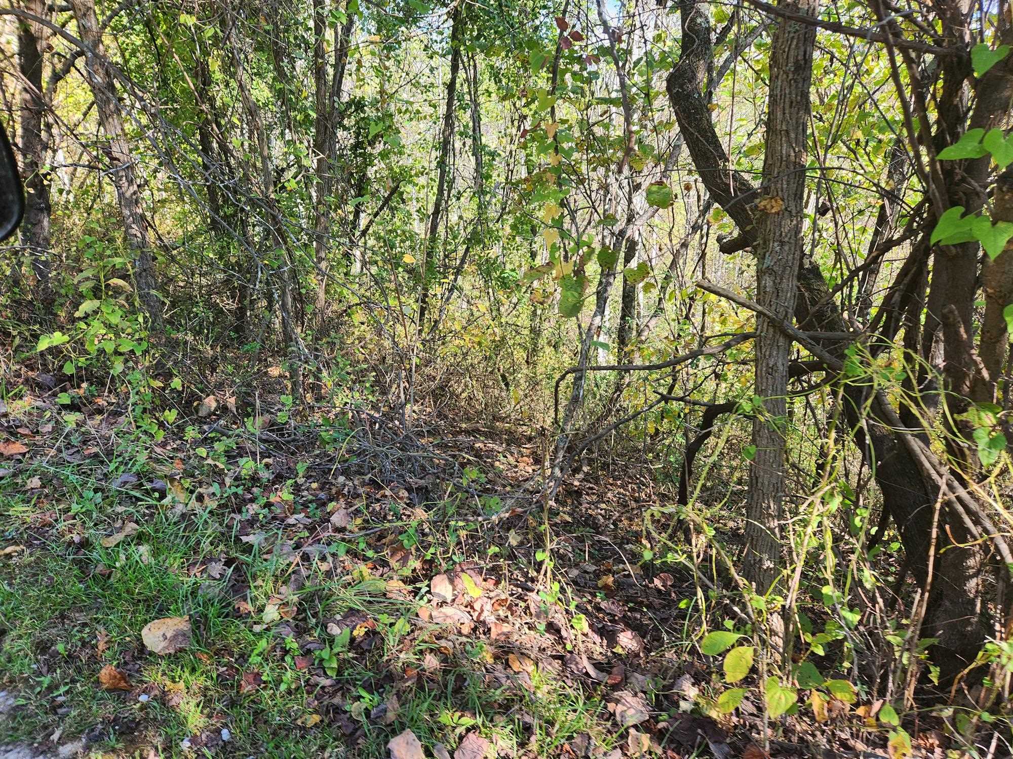 0 Kiser Fork Road Grayson, KY 41143 - Photo 8 of 48 Gallery Image 8