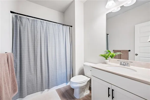 a bathroom with a sink a toilet and shower curtain