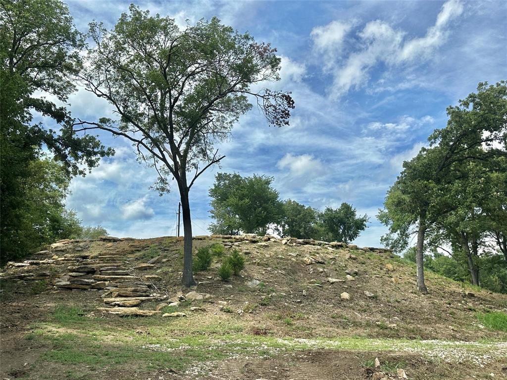 2.3-acres North Harrell Road Gainesville, TX 76240 - Photo 12 of 29 a view of a tree with an ocean