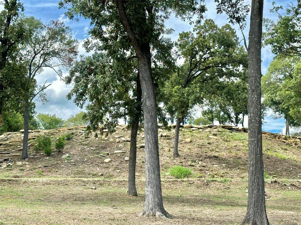 2.3-acres North Harrell Road Gainesville, TX 76240 - Photo 14 of 29 a view of a yard with trees