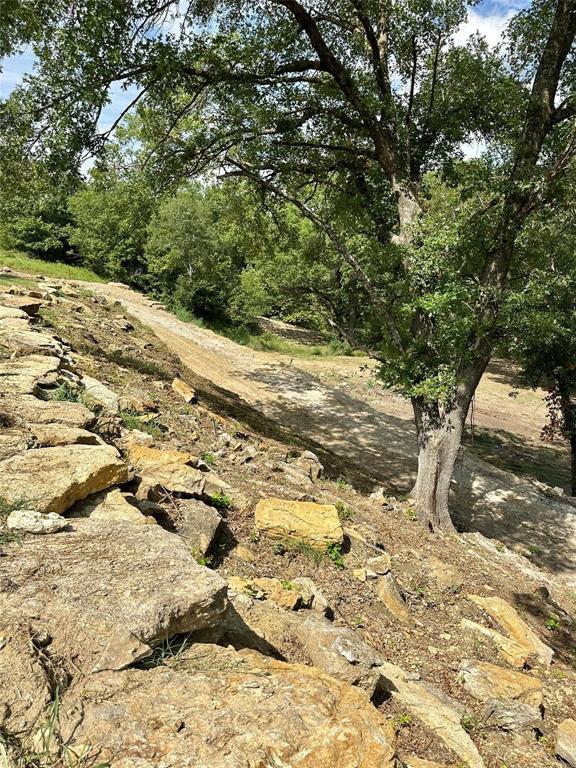 2.3-acres North Harrell Road Gainesville, TX 76240 - Photo 9 of 29 a view of a yard with trees