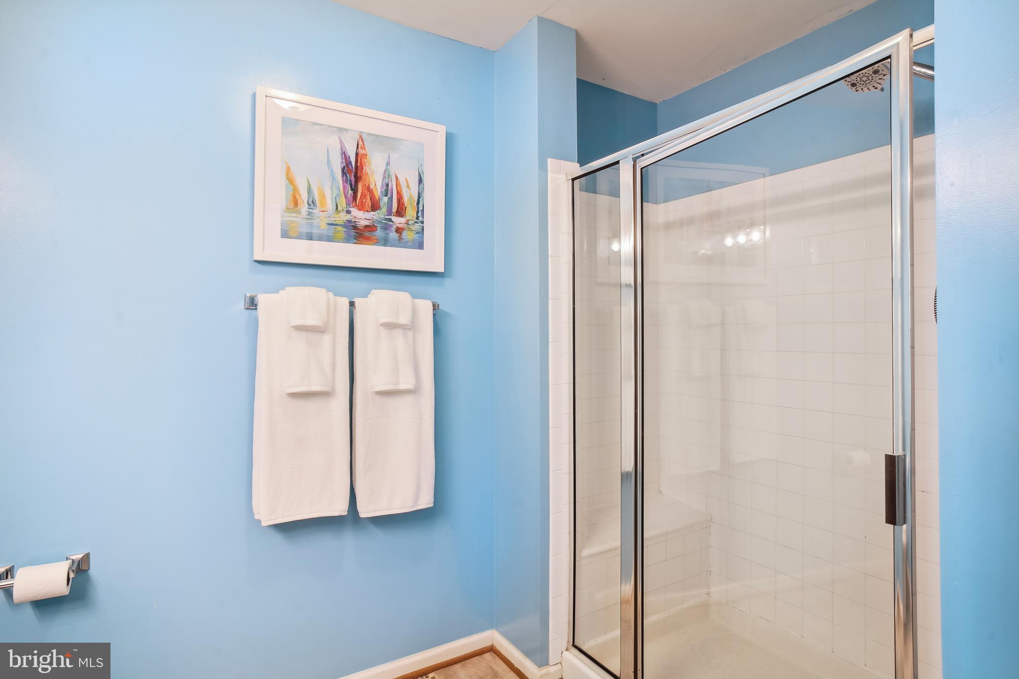 500 Marshall Court, Unit E Frederick, MD 21703 - Photo 25 of 37 Primary Bathroom with shower/shower bench