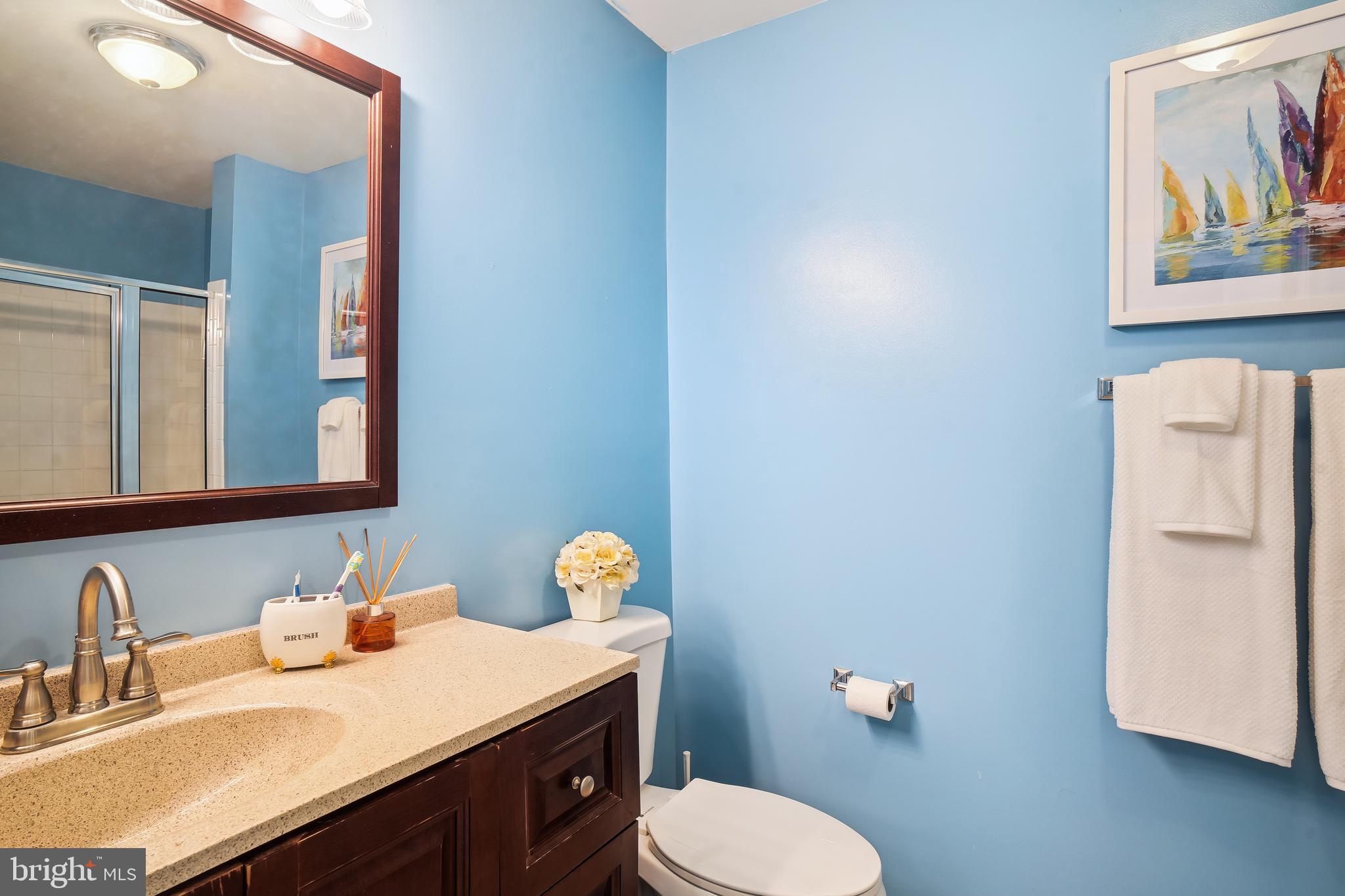 500 Marshall Court, Unit E Frederick, MD 21703 - Photo 26 of 37 Primary Bathroom