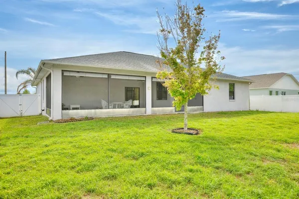 a view of a backyard with potted plants