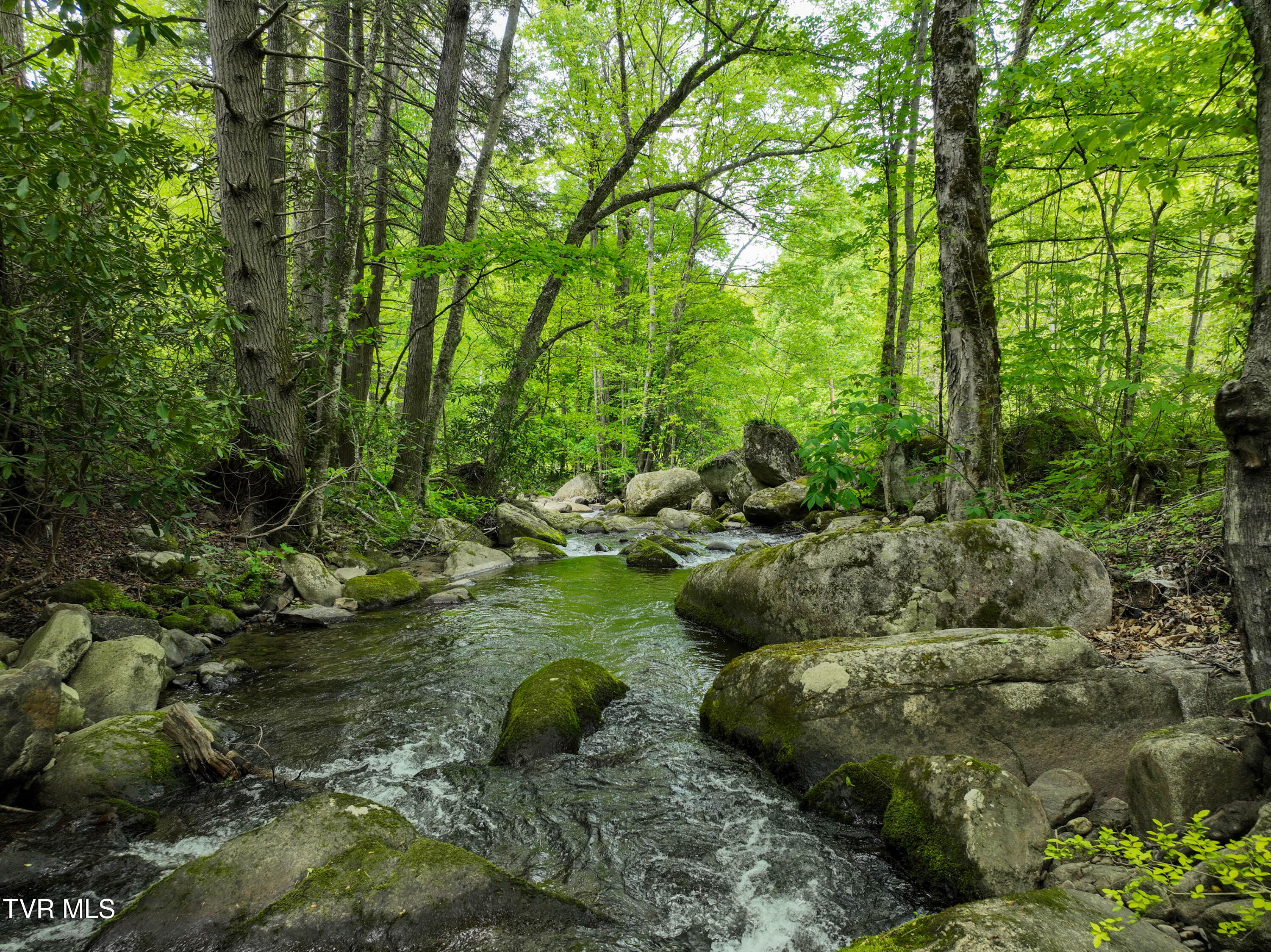 275 Tiger Creek Road Roan Mountain, TN 37687 - Photo 84 of 104 275 Tiger Creek Rd Drone WALLACE-31
