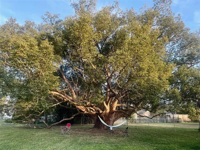 a backyard of a house with lots of trees