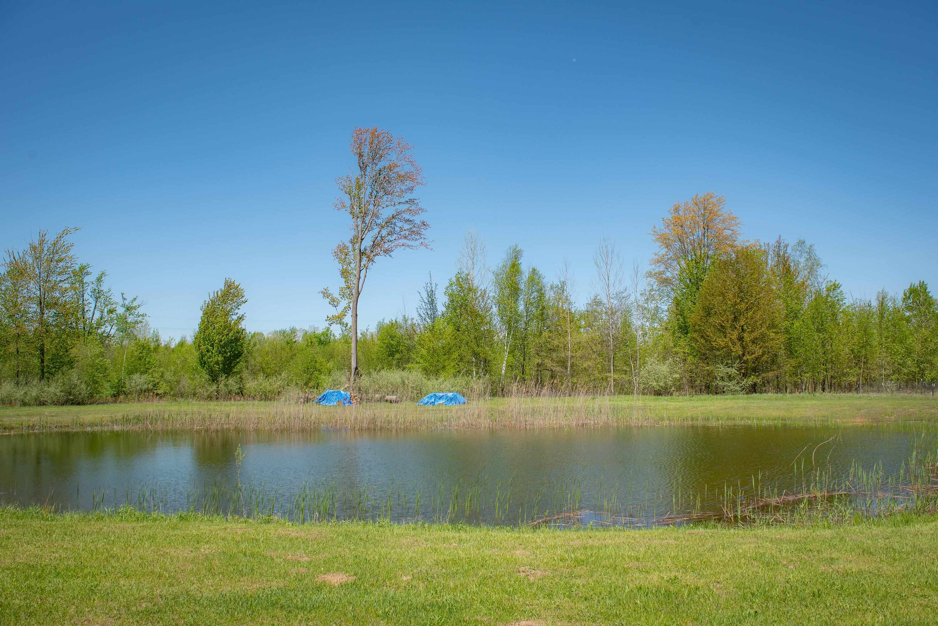 2250 North Coleman Road Coleman, MI 48618 - Photo 60 of 66