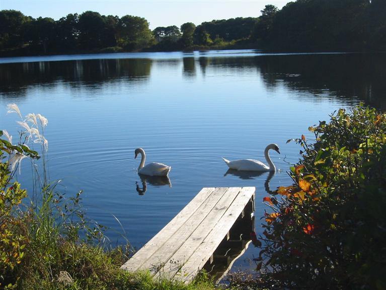 155 Ice Valley Road Osterville, MA 02655 - Photo 8 of 19 a view of lake