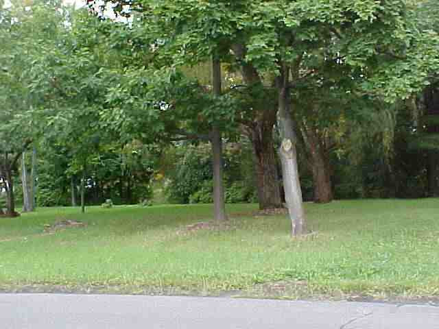 0 Lenox Road Schenectady, NY 12308 - Photo 1 of 4 Photo 1