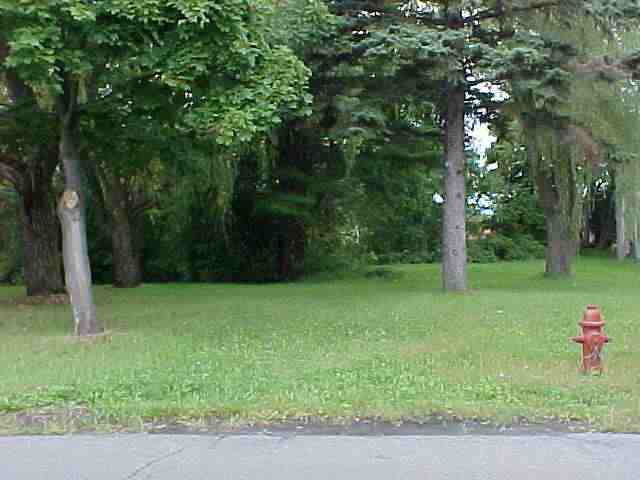 0 Lenox Road Schenectady, NY 12308 - Photo 4 of 4 Photo 4