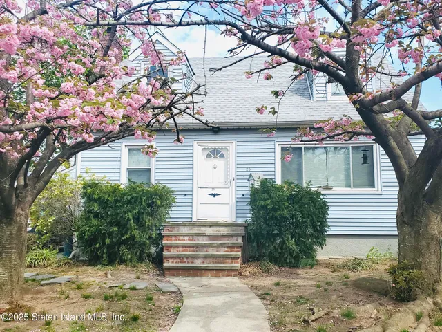 a view of backyard with plants and outdoor seating