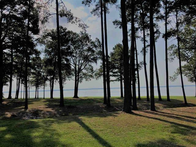 238 Lemoyne Street Madison, MS 39110 - Photo 3 of 3 Photo 3