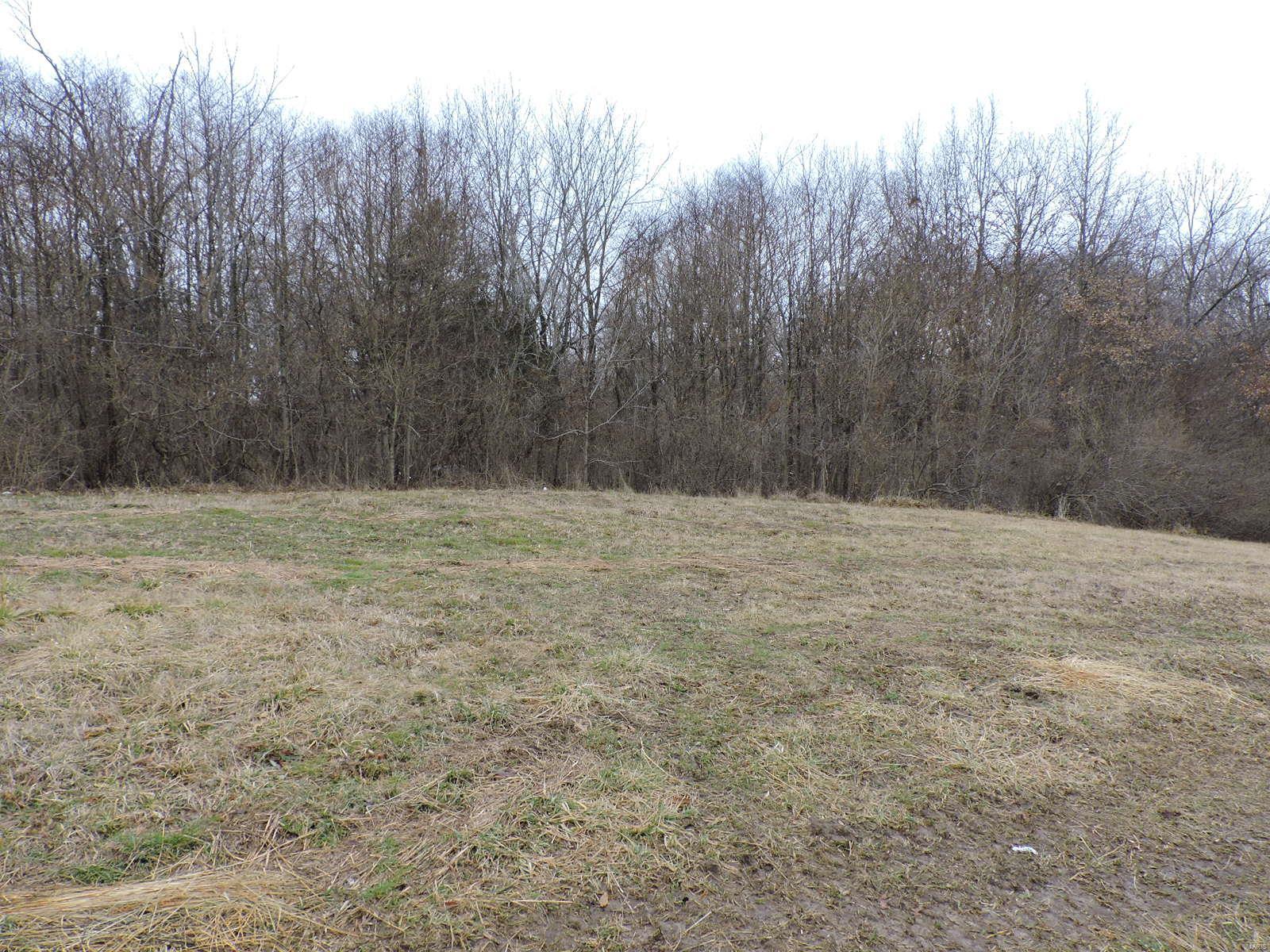 0 Rose Of Sharon Road Cutler, IL 62238 - Photo 8 of 10
