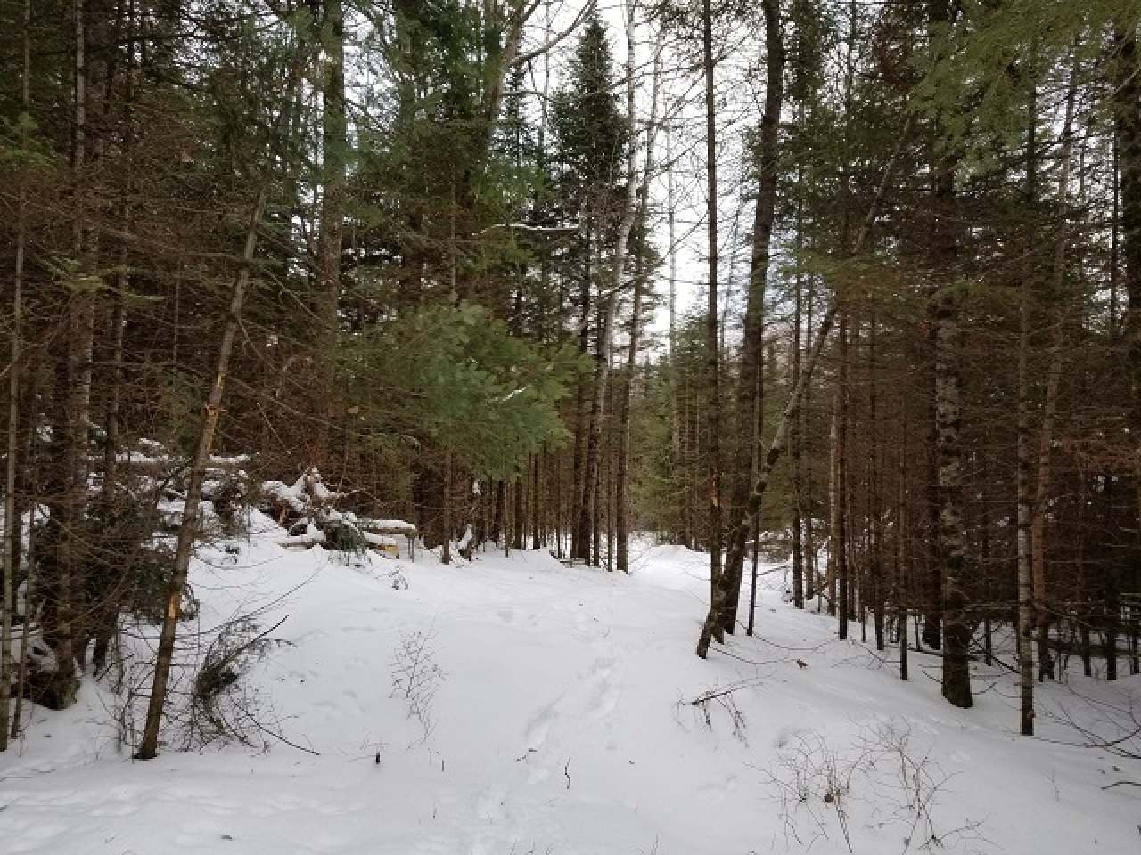 Lot 20 Ten Road Mercer, WI 54547 - Photo 1 of 12 Gallery Image 1