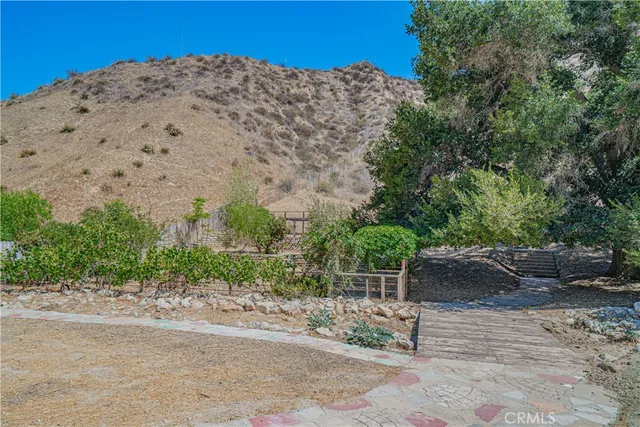 a view of a yard with a road