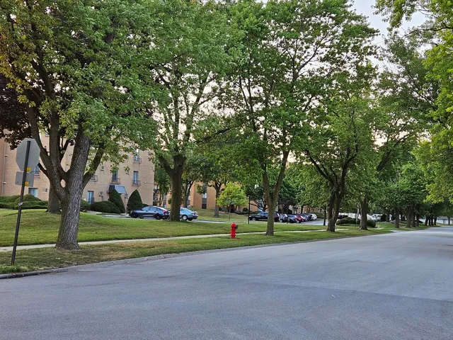 $138,000 | 931 West Arquilla Drive, Unit 415, Glenwood, IL 60425