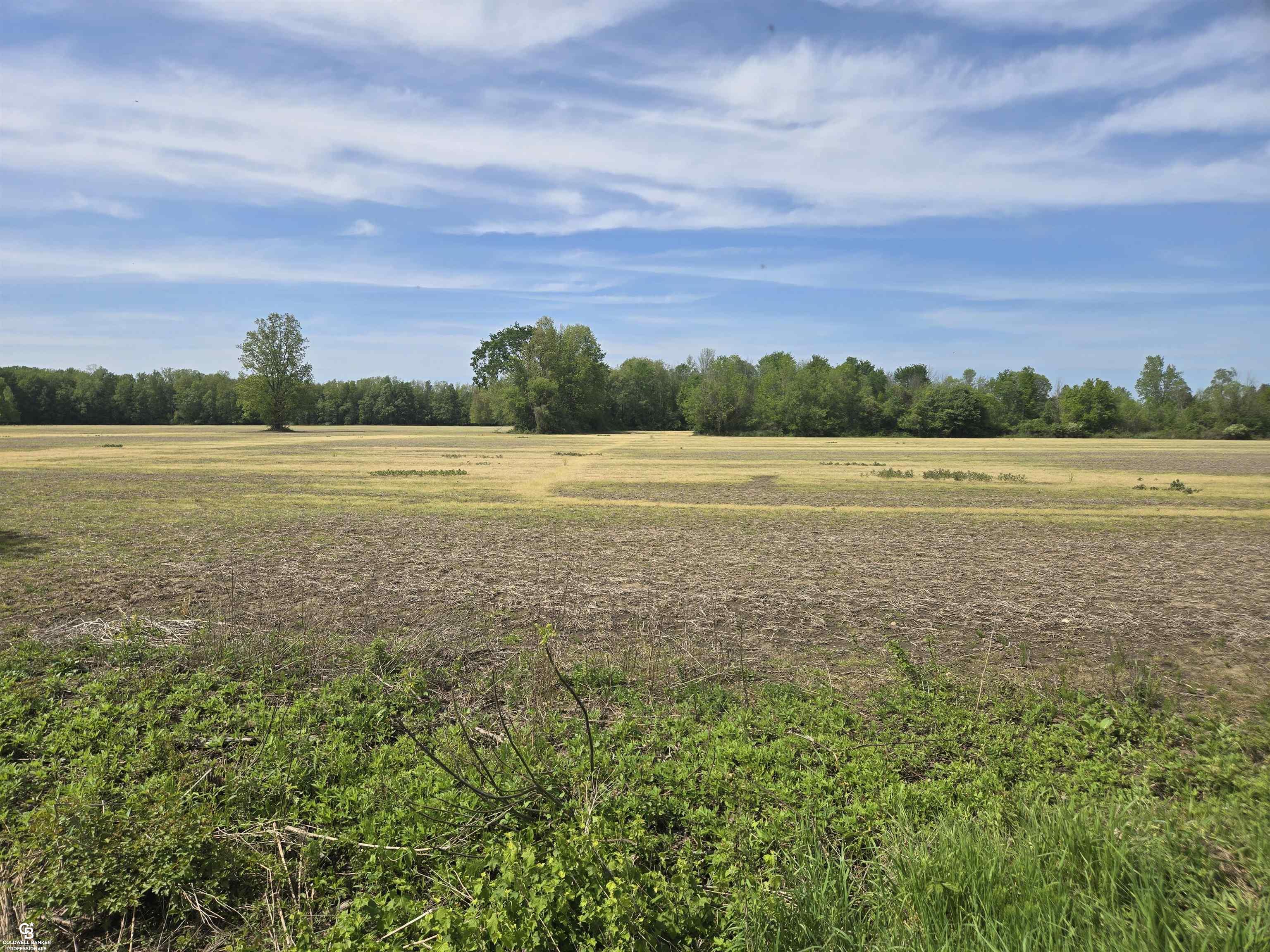 0 Bean Road Avoca, MI 48006 - Photo 6 of 11