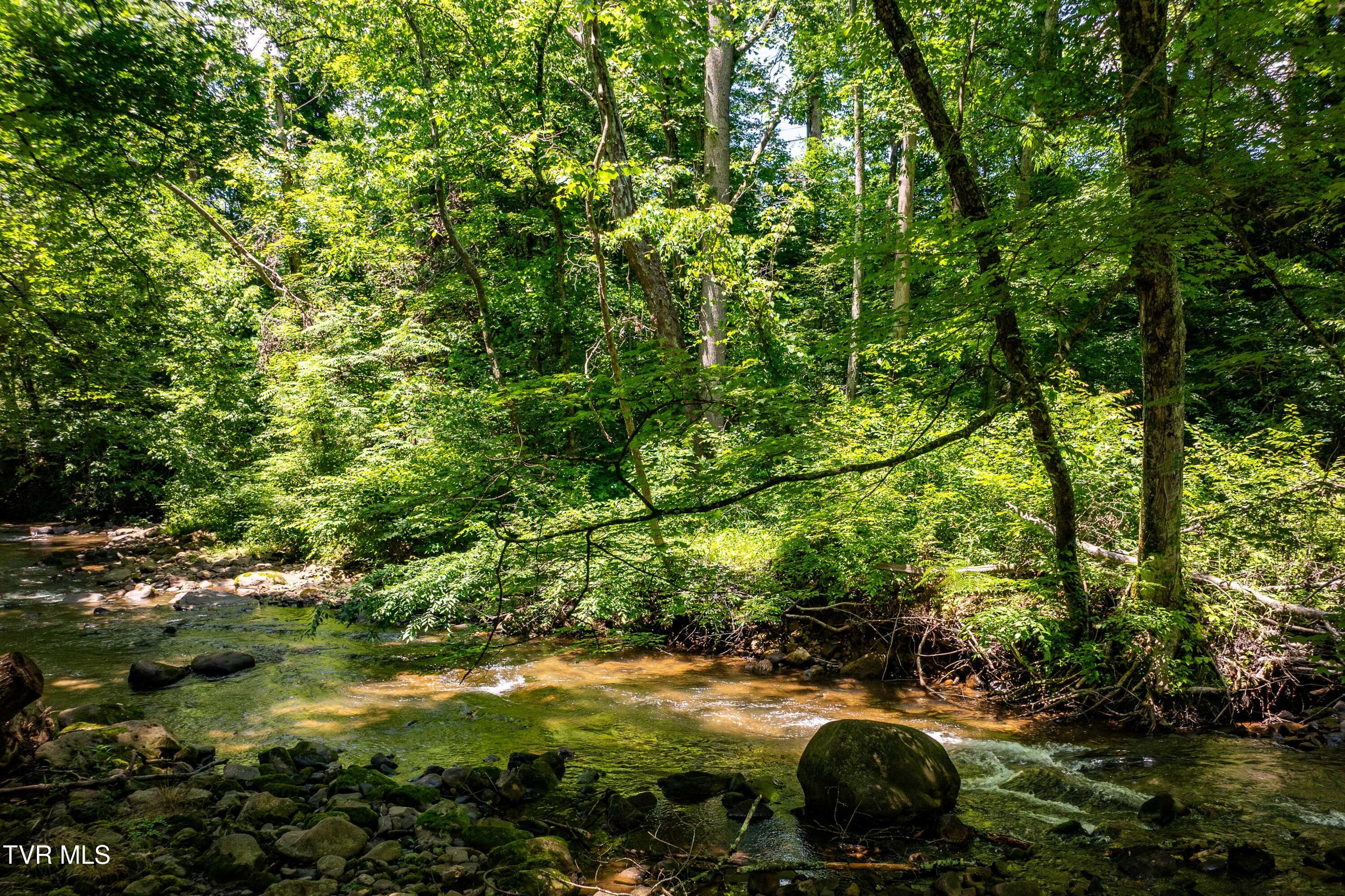 135 Grindstaff Hollow Road Elizabethton, TN 37643 - Photo 52 of 116 135 Grindstaff Hollow (15 of 83)