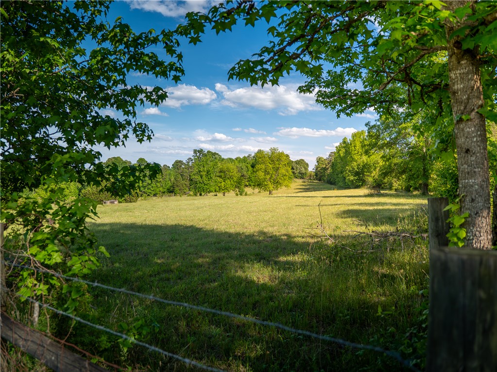Expansive green fields under a bright sky, framed by lush trees, offer peaceful natural beauty.