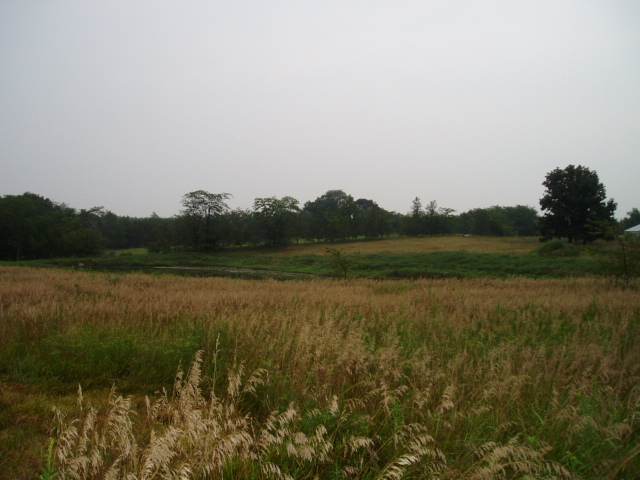 950 East Road Kennedy Road Dewitt, IL 61735 - Photo 3 of 10