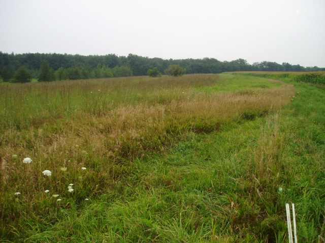 950 East Road Kennedy Road Dewitt, IL 61735 - Photo 8 of 10