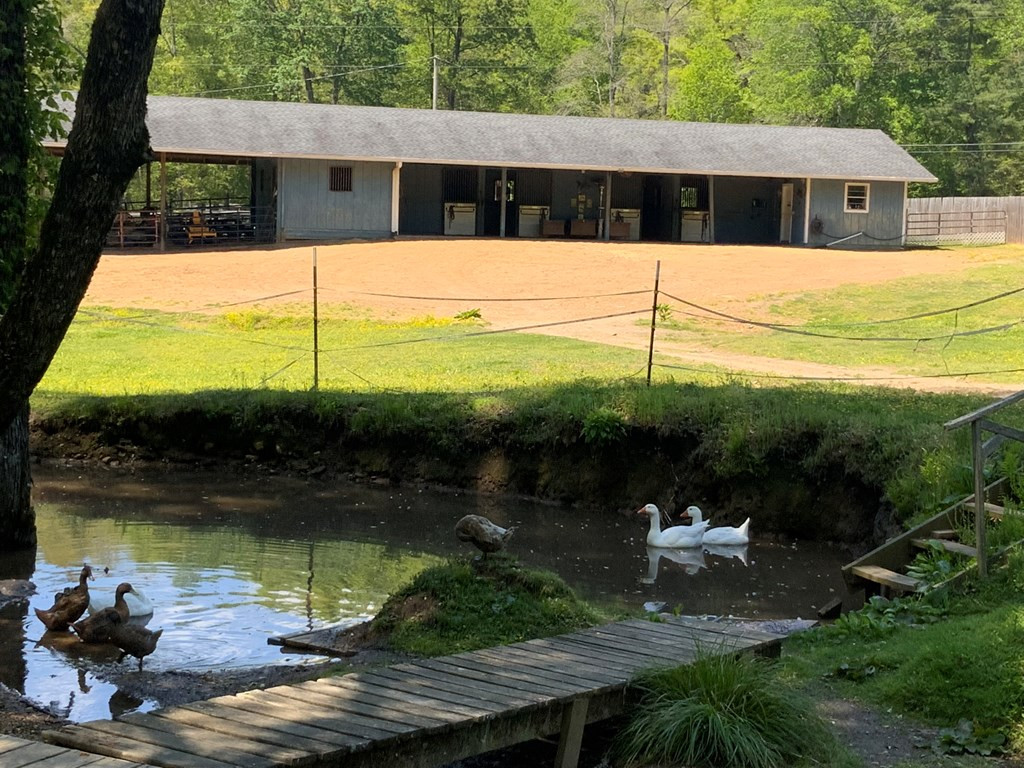 136 Gibson Road Andrews, NC 28901 - Photo 17 of 68