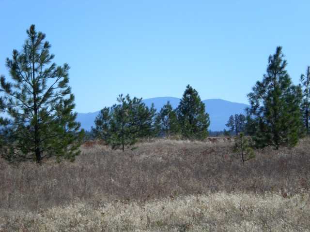 1920 West Enoch Road Deer Park, WA 99006 - Photo 9 of 9 Gallery Image 9