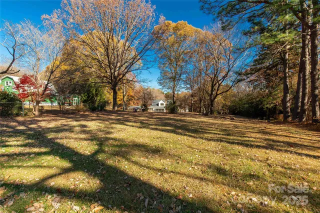 a view of road with large trees