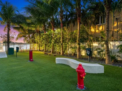 a garden view with palm trees