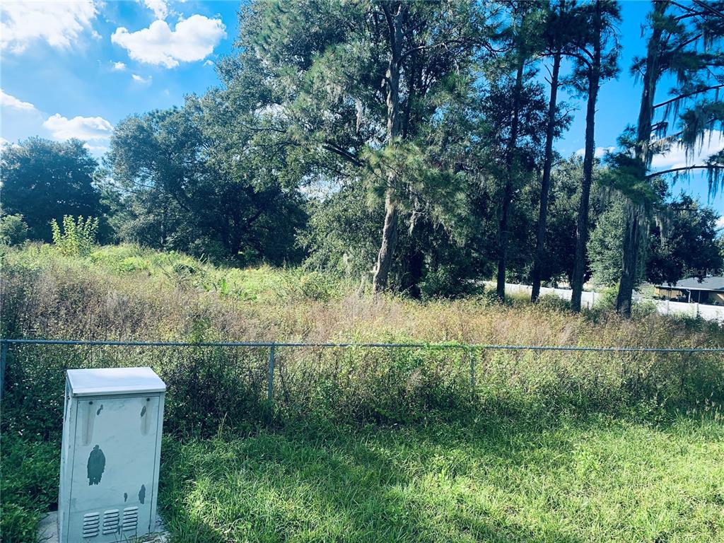 954 North Galloway Road Lakeland, FL 33810 - Photo 1 of 1 a view of a yard